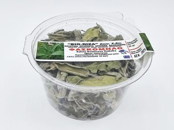 Salvia