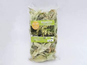 Tiglio